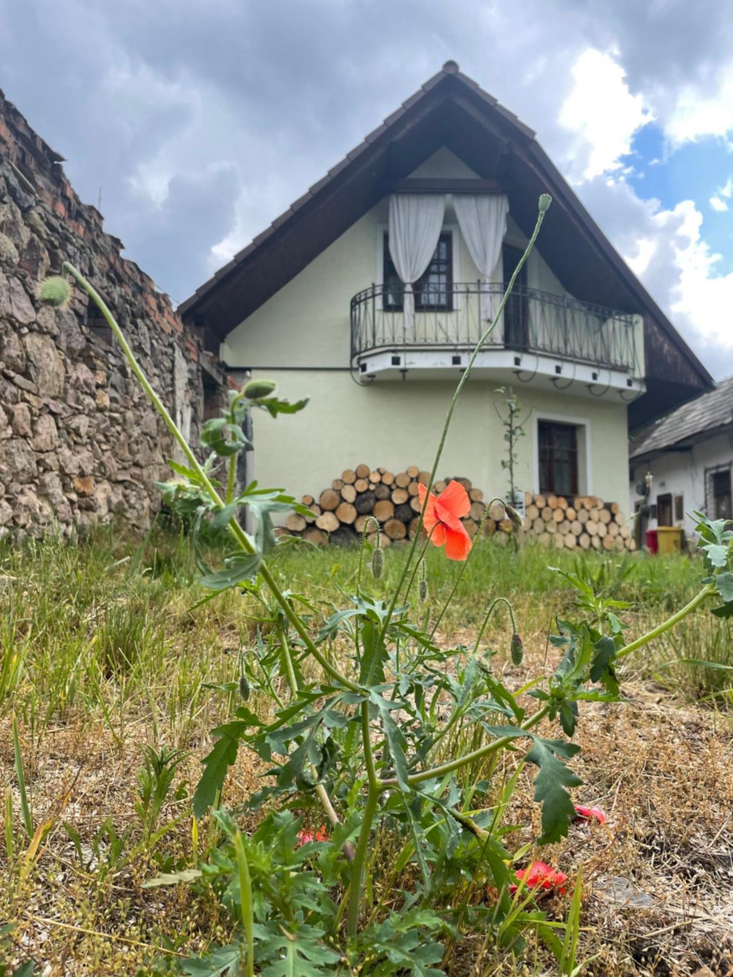 Chalupa V Hliniku Hlinik nad Hronom Extérieur photo